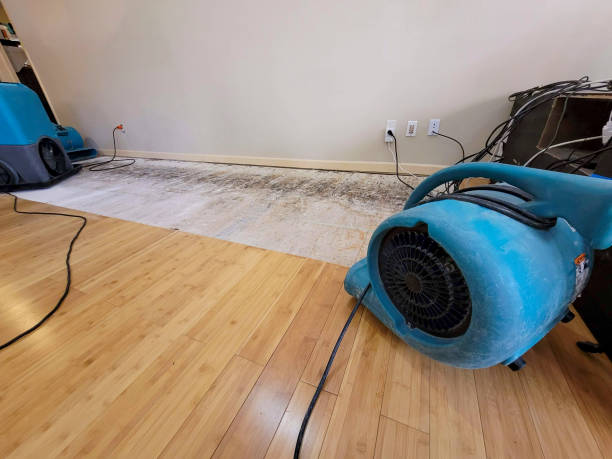 Professional Basement Flood Cleanup technician working in Red Valley, AZ